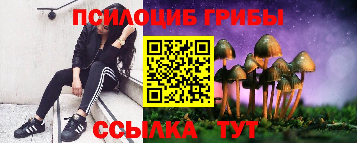 Псилоцибиновые грибы мицелий  Вход с VPN  Канаш 