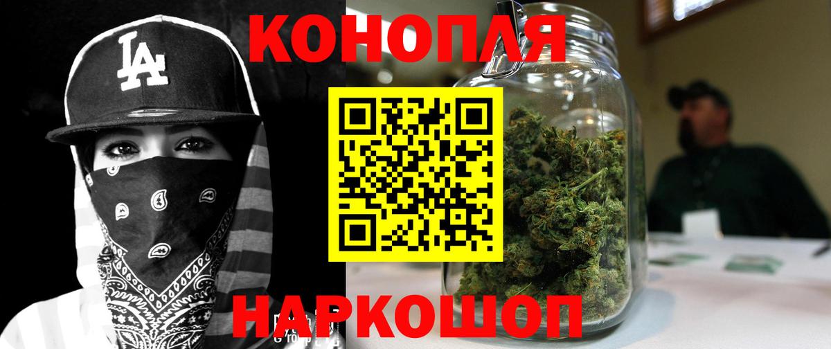 Бошки марихуана планчик  Вход с VPN  Канаш  МАРИХУАНА гибрид  МАРИХУАНА тримм 